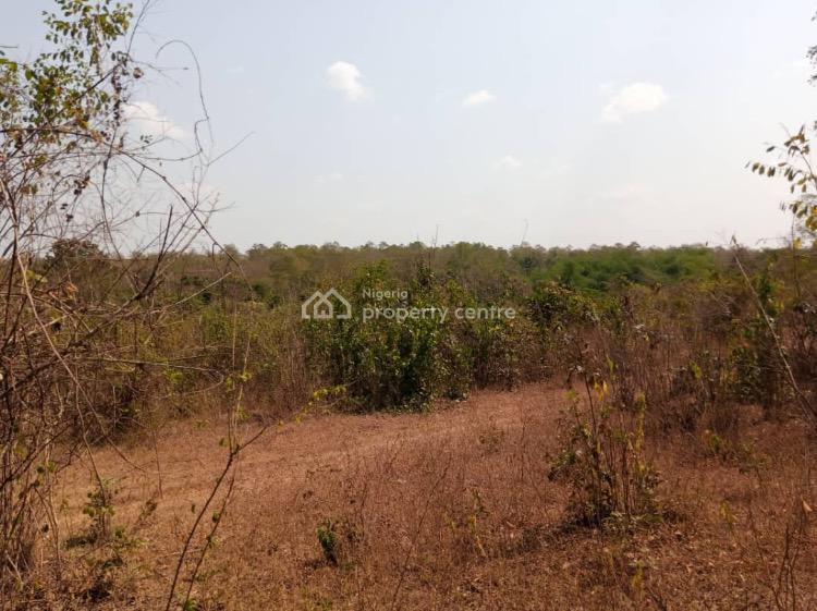 For Sale 13 Acres Of Farmland, Abeokuta North, Ogun Nigeria Property