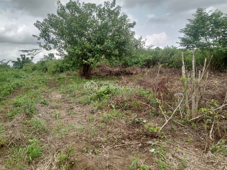 For Sale Plots Of Land, Hillcrest, Frontier Homes Estate, Itele., Ado