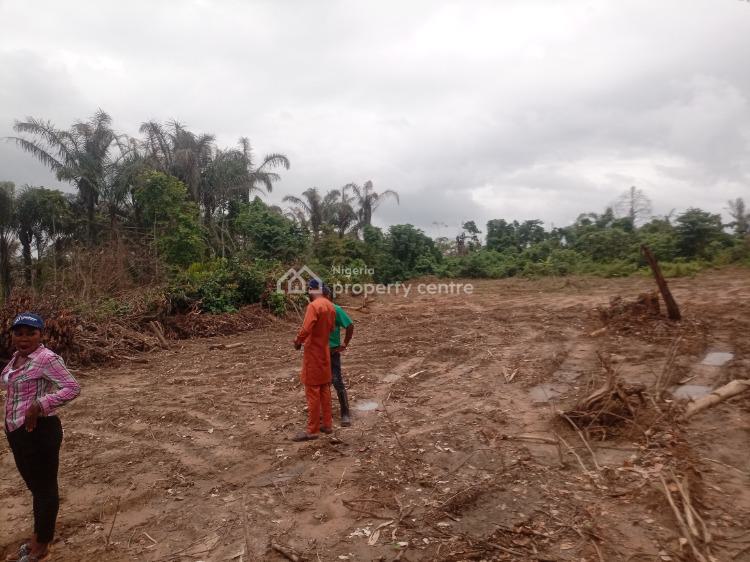 Residential & Commercial Estate Land with 10% Discount, Concord City Extention 2.0 Estate, Ibajo Community, Igbonla, Epe, Lagos, Mixed-use Land for Sale