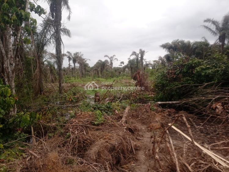 Residential & Commercial Estate Land with 10% Discount, Concord City Extention 2.0 Estate, Ibajo Community, Igbonla, Epe, Lagos, Mixed-use Land for Sale