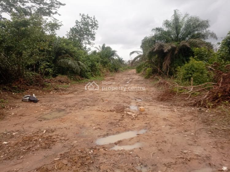 Residential & Commercial Estate Land with 10% Discount, Concord City Extention 2.0 Estate, Ibajo Community, Igbonla, Epe, Lagos, Mixed-use Land for Sale