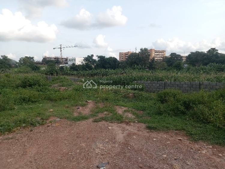 Distressed: Strategically Located Commercial Land Measuring 1,750 Sqm, By Icpc and Ndic Headquarters, Central Business District, Abuja, Commercial Land for Sale