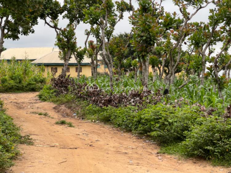 Strategically Located Dry Land Measuring 1,358 Sqm, Kpeyegyi, Abuja, Residential Land for Sale