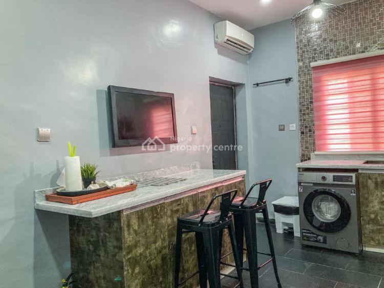 Luxury 2 Bedroom Apartment, New Horizon, Ikate, Lekki, Lagos, Flat / Apartment Short Let
