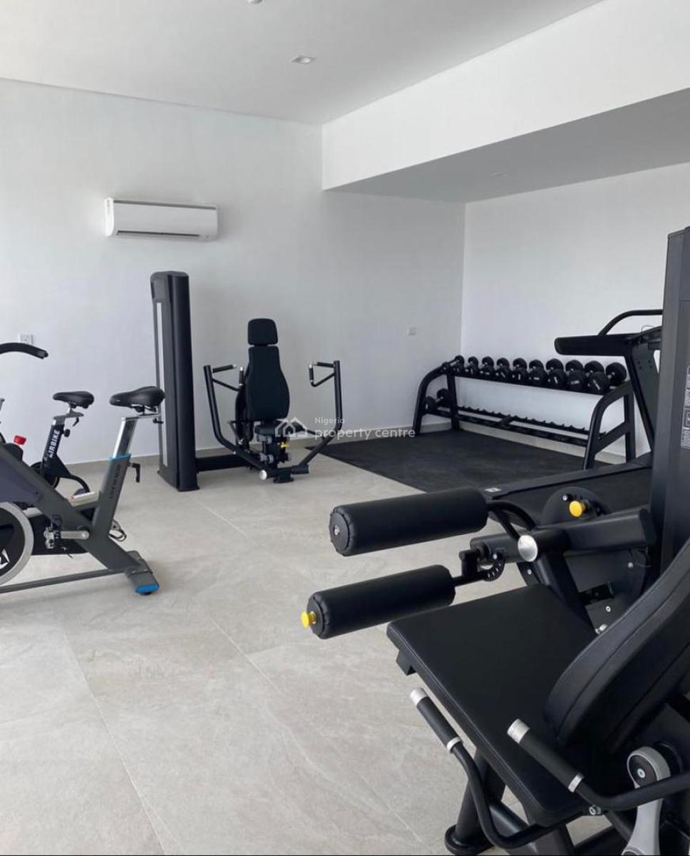 a Luxury Furnished 2 Bedrooms Flat with Bq, Victoria Island (vi), Lagos, Flat / Apartment for Rent