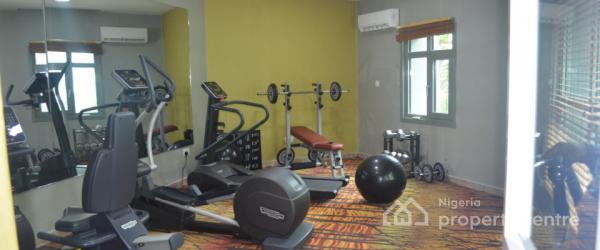 a Classic Fully Furnished Studio Apartment with State of The Art Finishing, Margaret Thatcher Close, Off Queen Elizabeth Street, Asokoro., Asokoro District, Abuja, Self Contain (single Rooms) Short Let