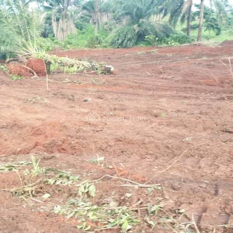 For Sale Luxury Land In Asaba, Along Asaba International Airport