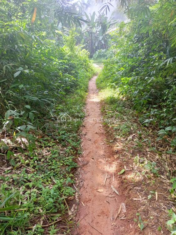 Affordable 100 Acres of Farm Land, After Okhahue River, Benin - Agbor Express Road, Abudu, Orhionmwon, Edo, Mixed-use Land for Sale