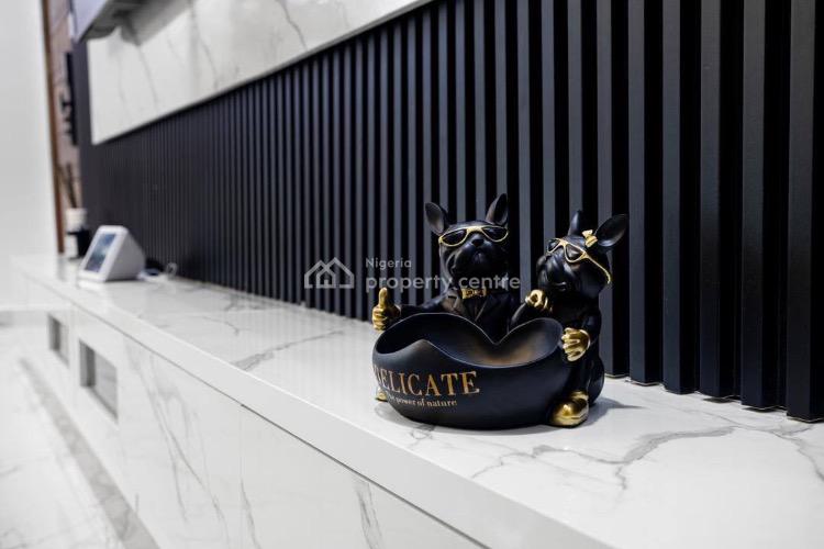 Luxurious Two Bedroom Apartment with Swimming Pool, Off Spar Road, Ikate, Lekki, Lagos, Flat / Apartment Short Let