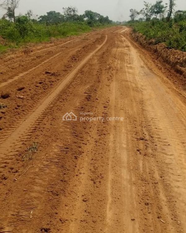For Sale: Get A Free Voucher, Abara Tropicana Estate Phase 2, Etche ...