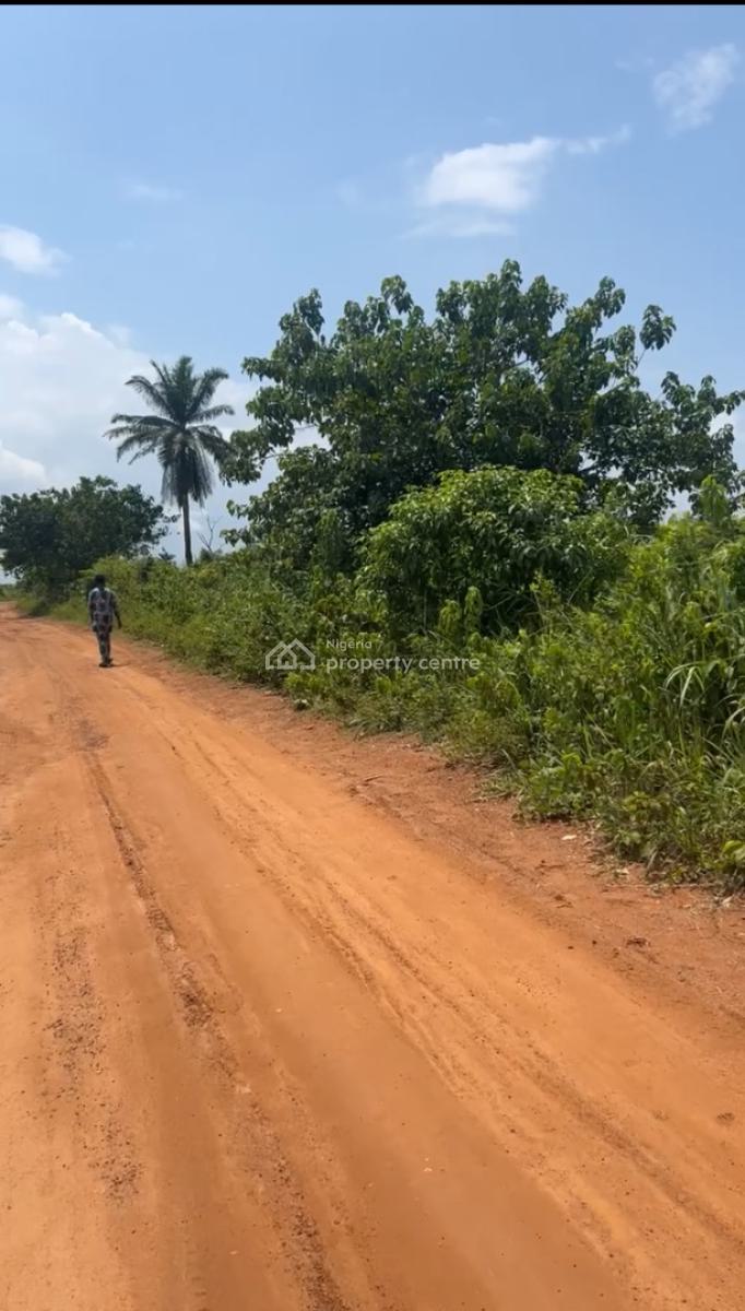 Prime 7,200sqm Land Beside Obasanjo Farm -- Ibogun, Ogun State, Iyana Coker Road, Ibogun, Ifo, Ogun, Mixed-use Land for Sale