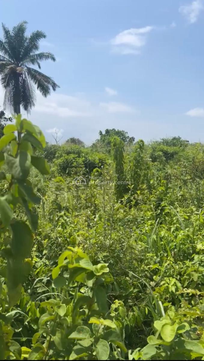 Prime 7,200sqm Land Beside Obasanjo Farm -- Ibogun, Ogun State, Iyana Coker Road, Ibogun, Ifo, Ogun, Mixed-use Land for Sale
