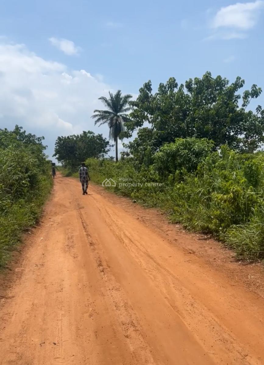 Prime 7,200sqm Land Beside Obasanjo Farm -- Ibogun, Ogun State, Iyana Coker Road, Ibogun, Ifo, Ogun, Mixed-use Land for Sale