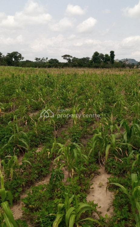 4.5 Hectares Farmland, Giri, Gwagwalada, Abuja, Land for Sale