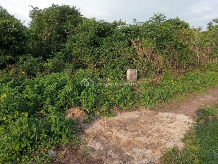 Buy and Build, By Michael Otedola Estate, Epe, Lagos, Mixed-use Land for Sale