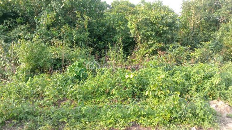 Buy and Build, By Michael Otedola Estate, Epe, Lagos, Mixed-use Land for Sale