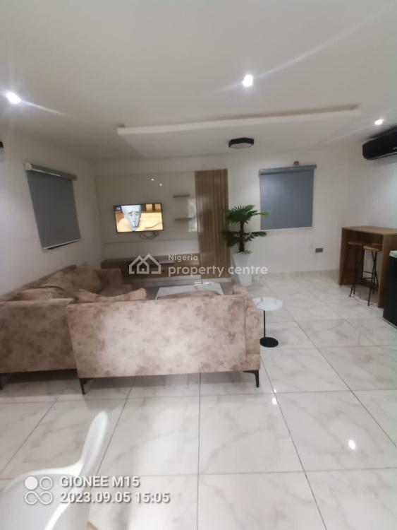Luxury Furnished and Serviced Mini Flat with 24 Hours Electricity, Lekki Phase 1, Lekki, Lagos, Mini Flat (room and Parlour) for Rent