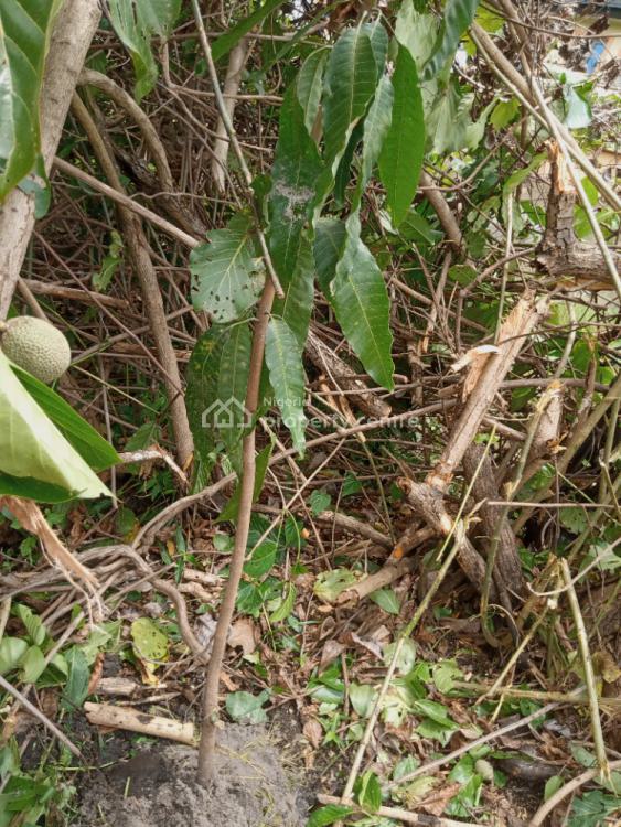 Genuine Dry Land, Off Tolani Bakare, Palmsbay Estate, Abijo, Lekki, Lagos, Mixed-use Land for Sale