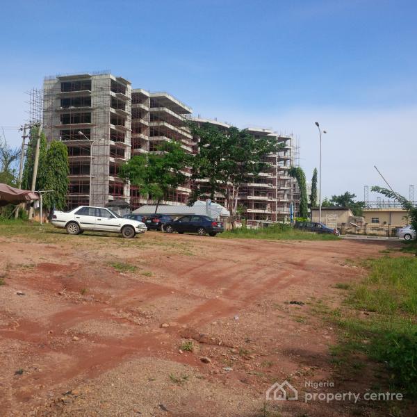 Primely Located & Strategic Commercial Landuse, Beside Kebbi House Near Nexim Bank, Central Business District, Abuja, Commercial Land for Sale