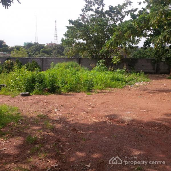 Primely Located & Strategic Commercial Landuse, Beside Kebbi House Near Nexim Bank, Central Business District, Abuja, Commercial Land for Sale