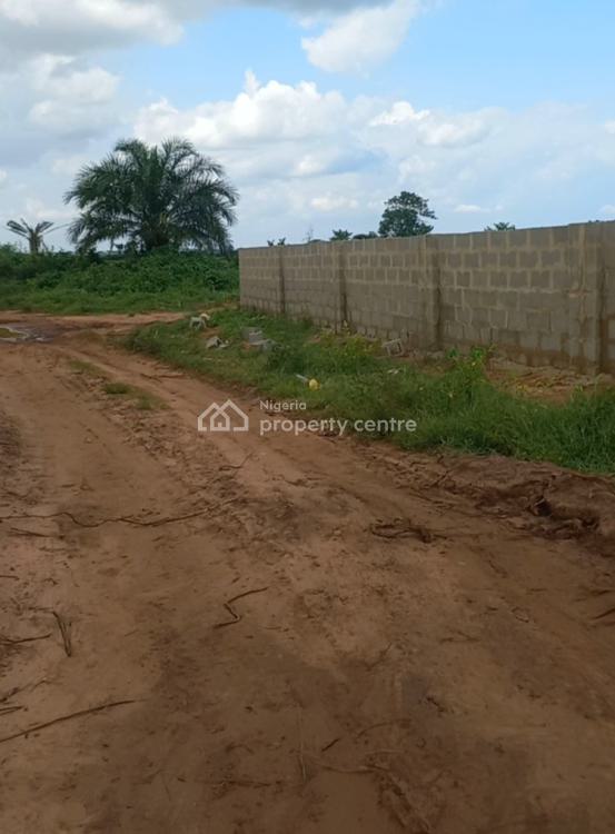 Freedom Court Estate, Ibusa. Opposite The Chinese Construction Company., Asaba, Delta, Mixed-use Land for Sale