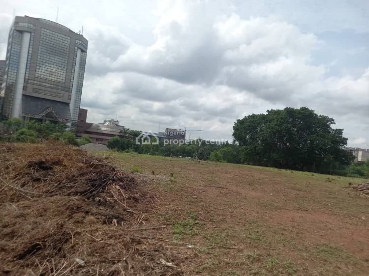 Land Size : 4885sqm    Purpose : Commercial    Title : C of O, Central Business District, Abuja, Commercial Land for Sale