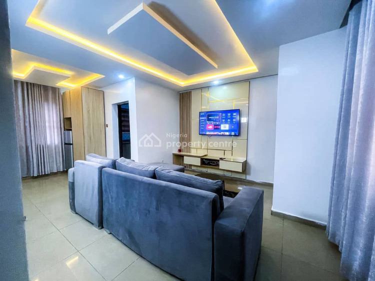 Luxurious 1 Bedroom Apartment, No. 8 Bawku Street, Wuse 2, Abuja, Mini Flat (room and Parlour) Short Let