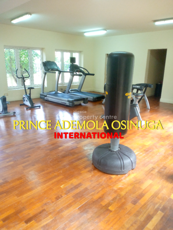 Premium 4 Bedroom Terrace House +guest Chalet+bq+garden, Ikoyi, Lagos, Terraced Duplex for Rent