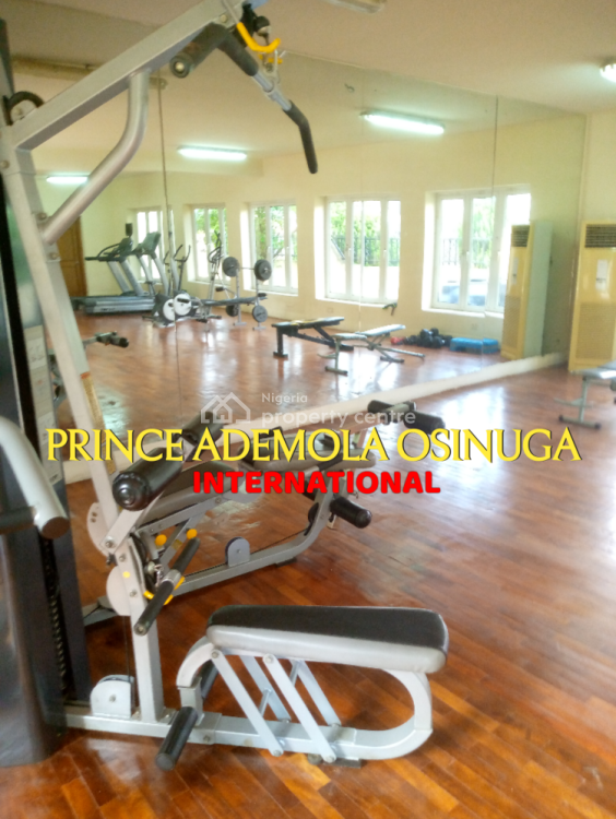 Premium 4 Bedroom Terrace House +guest Chalet+bq+garden, Ikoyi, Lagos, Terraced Duplex for Rent