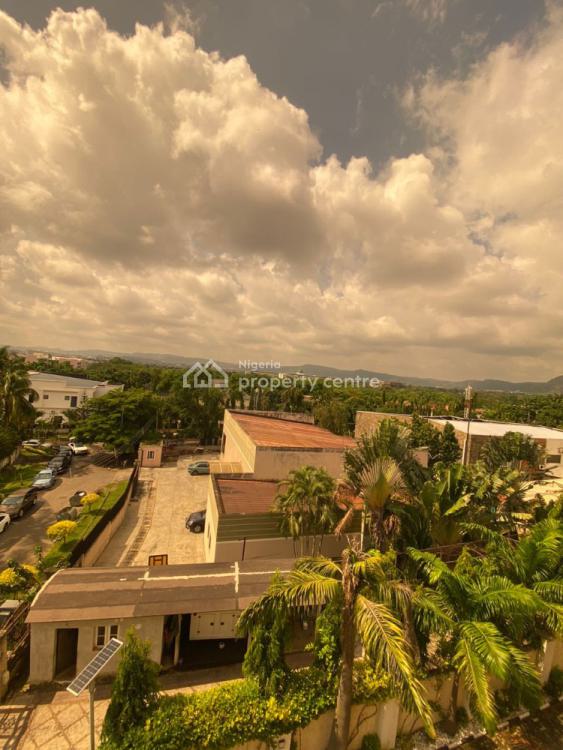 Luxury Five(5) Bedroom Mansion, Asokoro District, Abuja, Detached Duplex for Rent