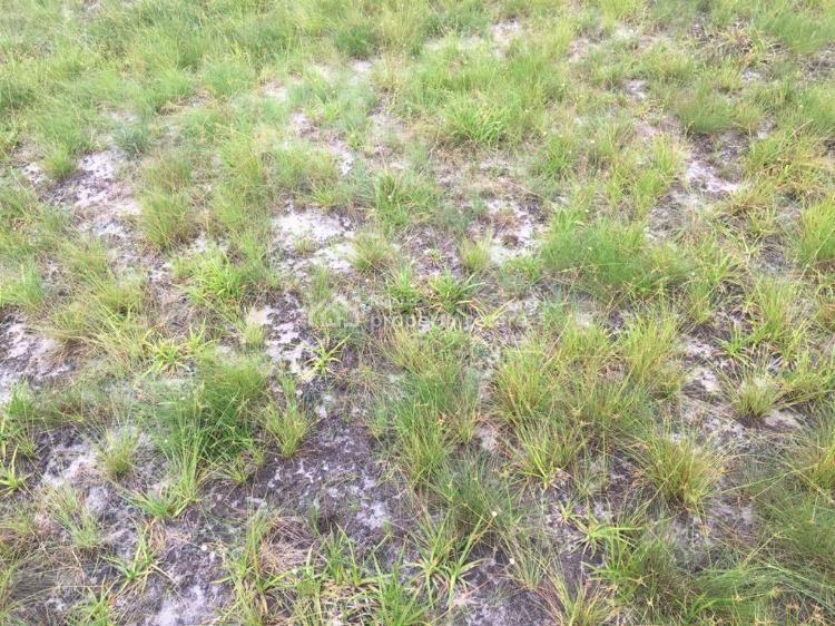 Gated Affordable Properties, Lepia Town, Ibeju Lekki, Lagos, Mixed-use Land for Sale