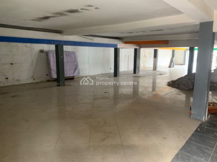 Large 10 Bedroom Commercial Property, Old, Victoria Island (vi), Lagos, Commercial Property for Rent