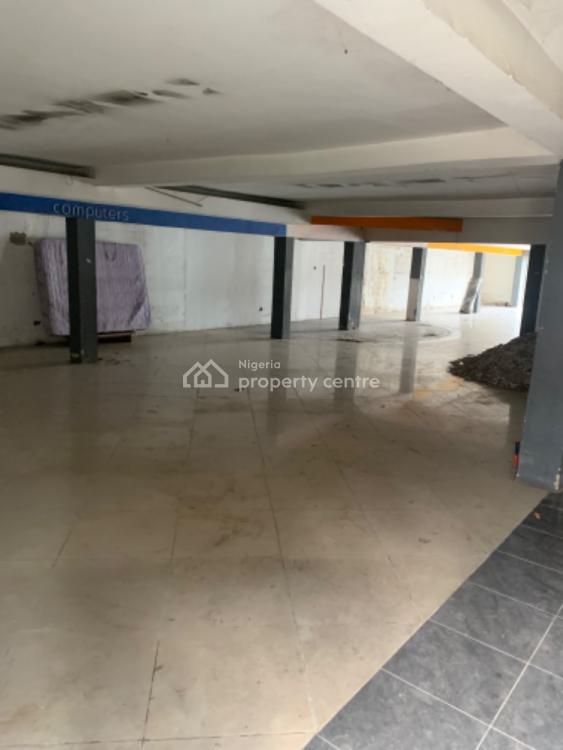 Large 10 Bedroom Commercial Property, Old, Victoria Island (vi), Lagos, Commercial Property for Rent