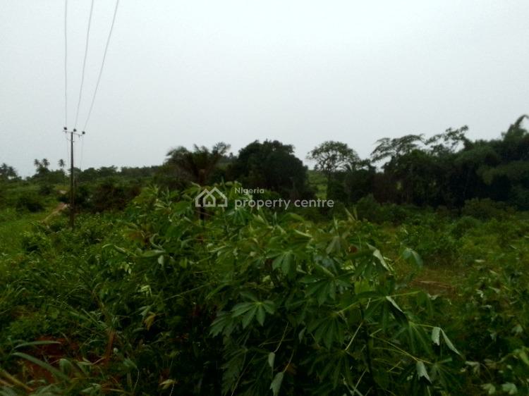 For Sale 500 +300 Square Meters Bareland, Ruby Estate (lagos Ogun