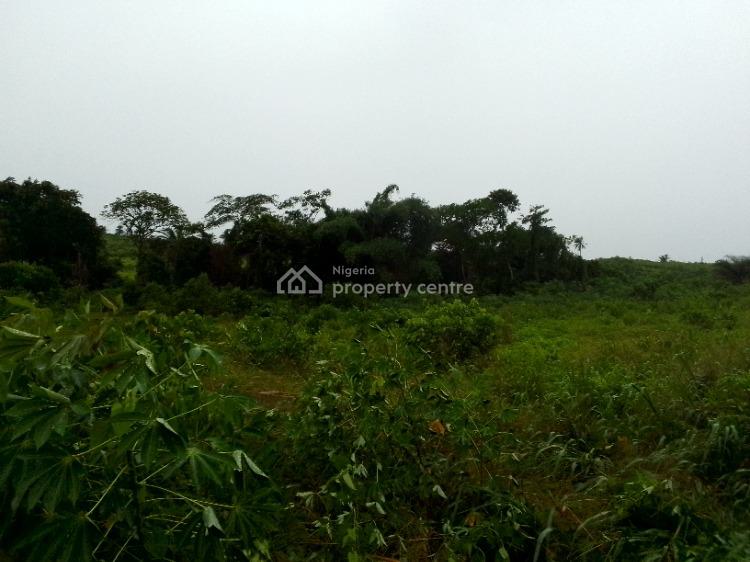 For Sale 500 +300 Square Meters Bareland, Ruby Estate (lagos Ogun