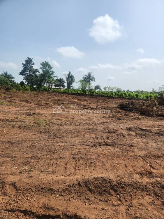 For Sale Buy 5 Plots Get 1 Plot Free,affordable And Strategic