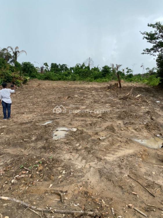 For Sale Verified And Secured Land With Freehold, Registered Survey