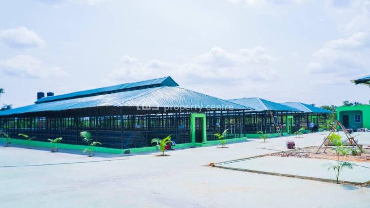 a Well Sophisticated Mechanized Poultry Farm on a Strategic Location, Ugwuomu, Goodluck Jonathan International Market Emene, Enugu, Enugu, Tank Farm for Sale