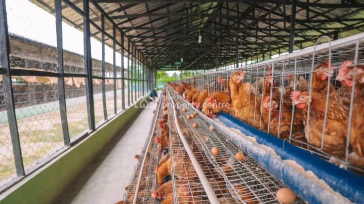 a Well Sophisticated Mechanized Poultry Farm on a Strategic Location, Ugwuomu By Goodluck Jonathan International Market Emene, Enugu, Enugu, Tank Farm for Sale