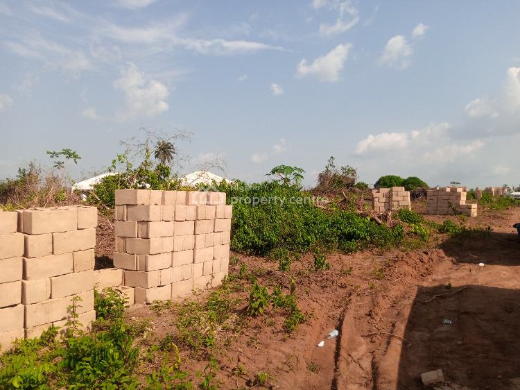 Affordable Land with Registered Survey, Benjamin Court Proximity to Lagos State Food System and Logistics Hub, Epe, Lagos, Residential Land for Sale