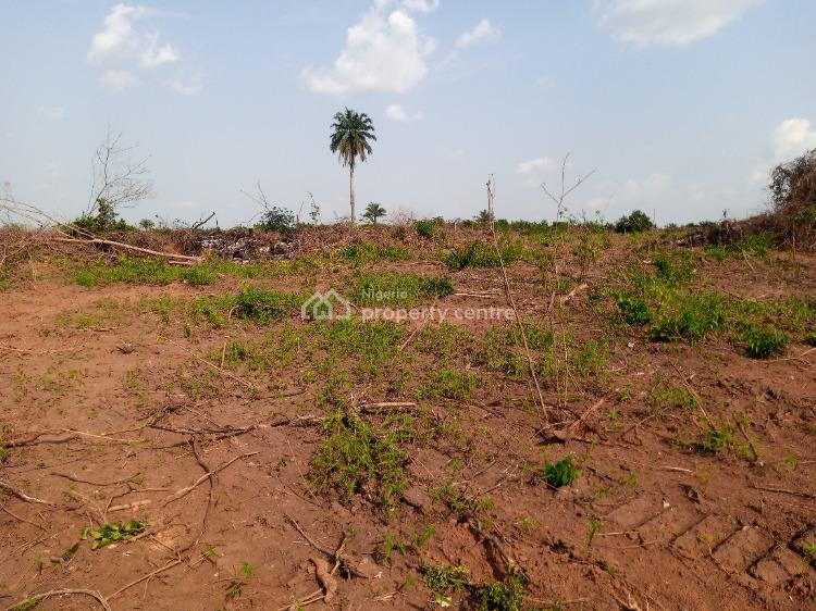 Affordable Land with Registered Survey, Benjamin Court Proximity to Lagos State Food System and Logistics Hub, Epe, Lagos, Residential Land for Sale