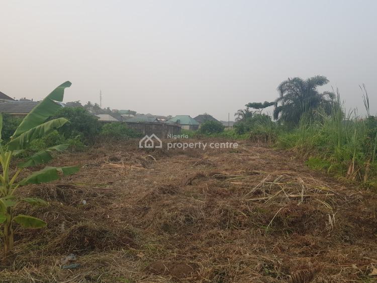 Residential Land for Sale in Agric, Ikorodu, Lagos Nigeria Property