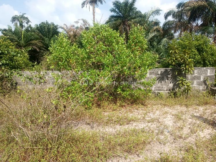 Affordable Land, Ode Omi, Ibeju Lekki, Lagos, Land for Sale