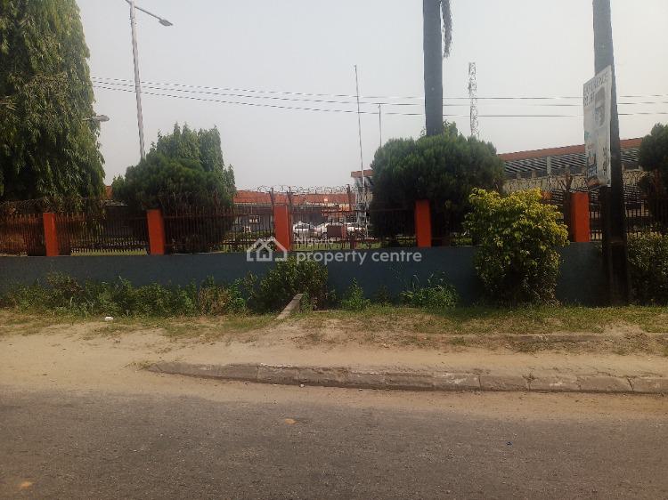 Pharmaceutical Company, Ilupeju Industrial Estate, Ilupeju, Lagos, Factory for Sale