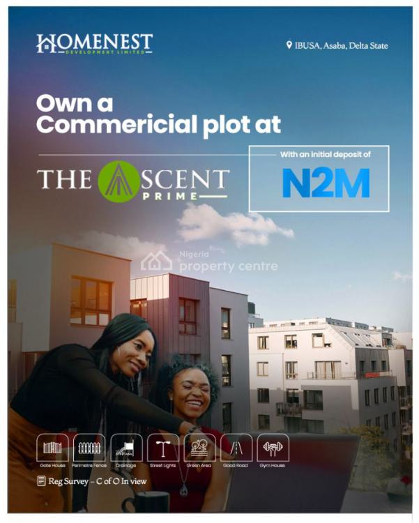 Service Residential Land with Registered Survey, Ibusa, Asaba, Delta, Residential Land for Sale