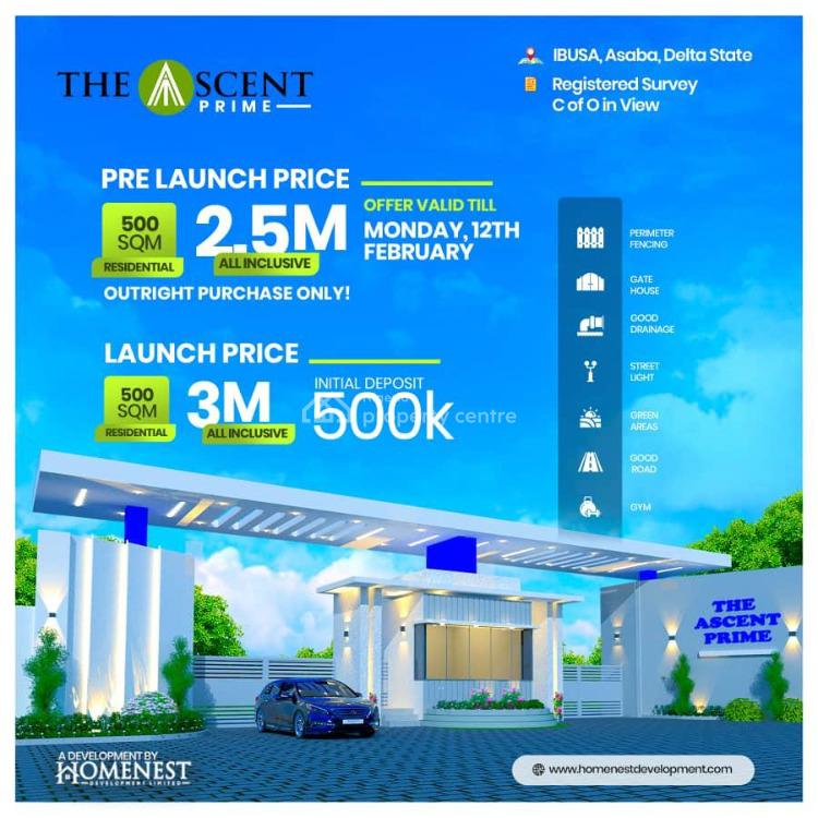 Service Residential Land with Registered Survey, Ibusa, Asaba, Delta, Residential Land for Sale