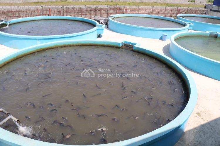 Aquaculture Farm, Pig Farm & Water Production Factory, Behind Green Springs School, Awoyaya, Ibeju Lekki, Lagos, Commercial Property for Sale