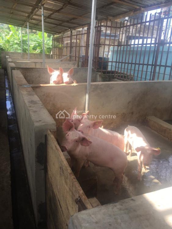 Aquaculture Farm, Pig Farm & Water Production Factory, Behind Green Springs School, Awoyaya, Ibeju Lekki, Lagos, Commercial Property for Sale