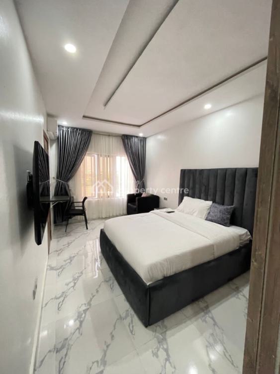 Book This (1)one Bedroom Luxurious Apartment with Amazing Amenities, Ikate, Lekki, Lagos, Flat / Apartment Short Let