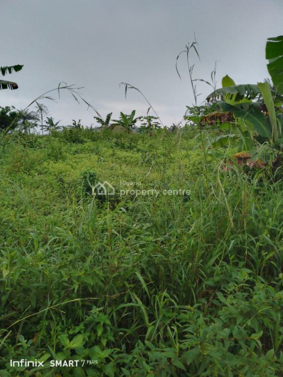 21 Acres of Farm Land Available, Tikilo Village, Eyin Osun Oke Sopin Ijebu Igbo, Ijebu North, Ogun, Mixed-use Land for Sale